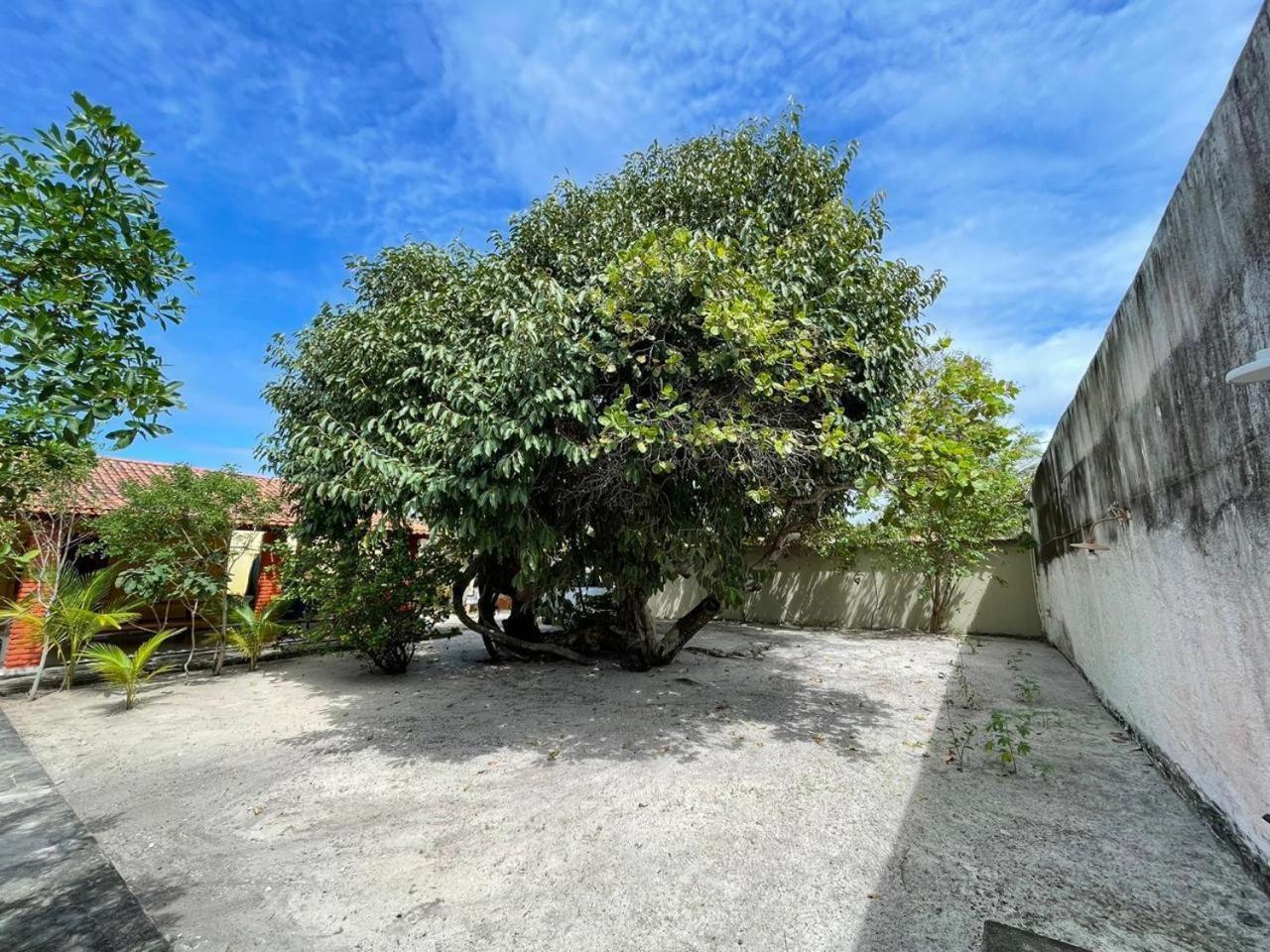 Recanto Das Aroeiras Alcobaça Екстериор снимка